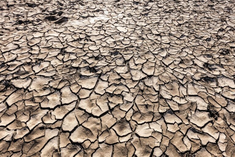 terre aride