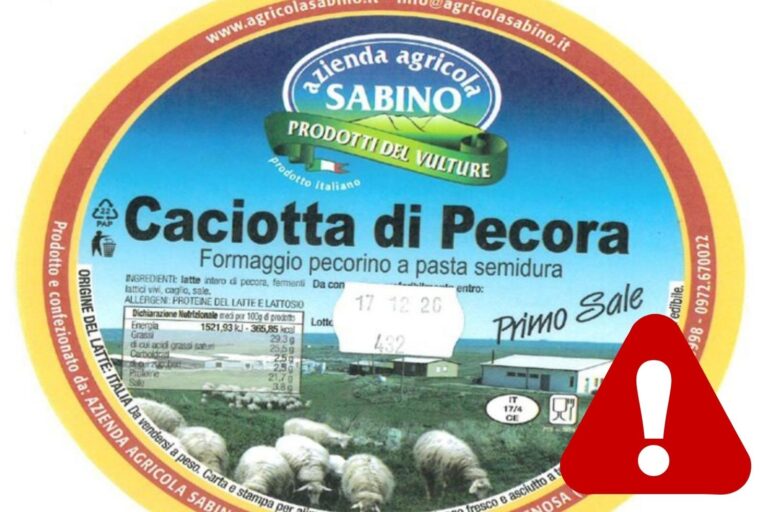 richiamo caciotta di pecora 2