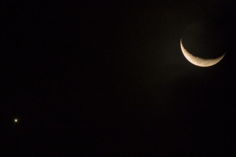 occultazione venere luna