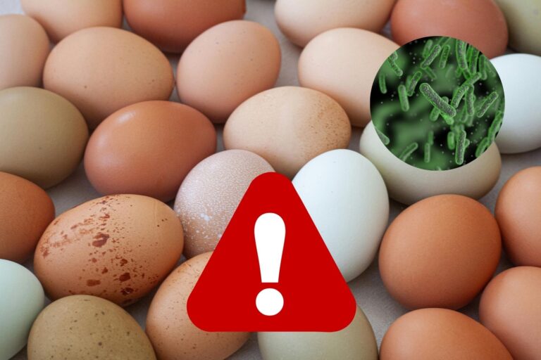 uova salmonella settembre 26