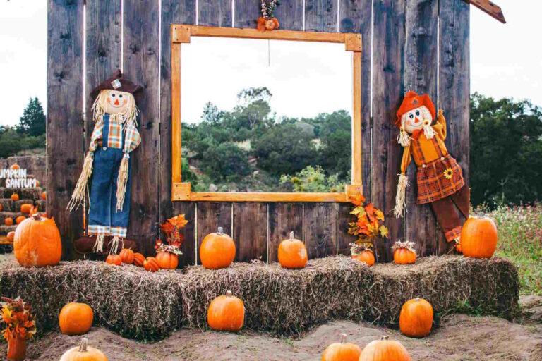 pumpkin patch