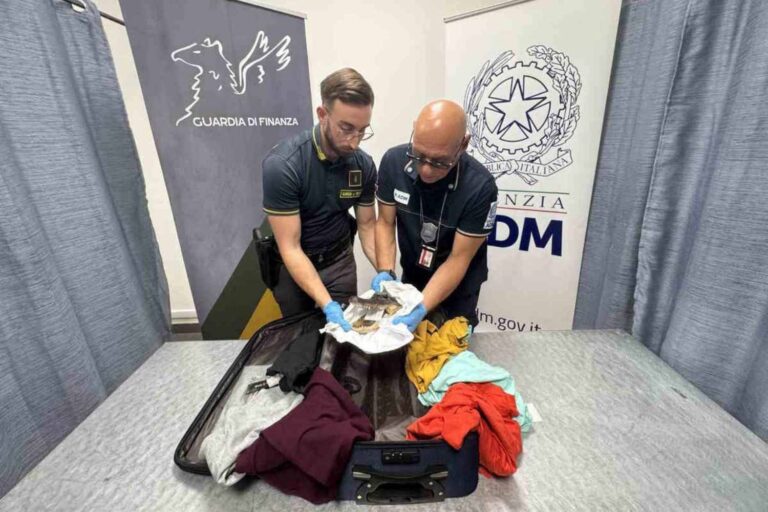 Een krokodillenkop in beslag genomen op de luchthaven van Turijn: de gruwel van de illegale handel in beschermde soorten houdt niet op
