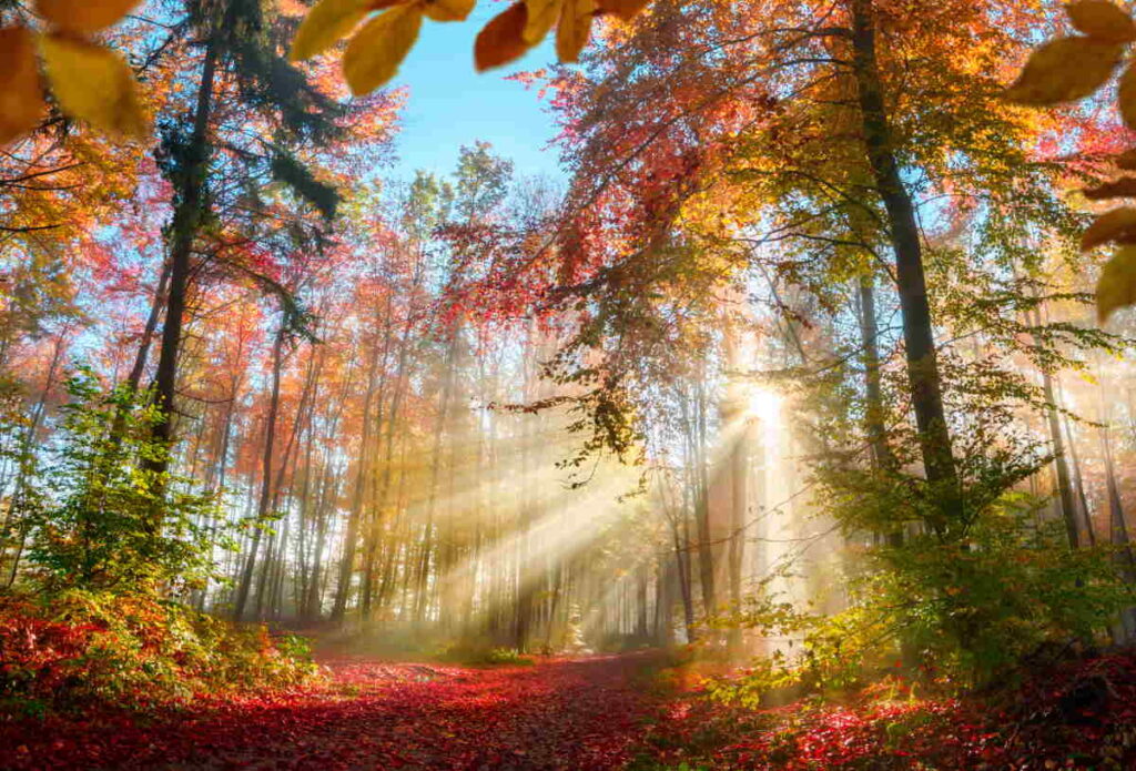 autunno caldo