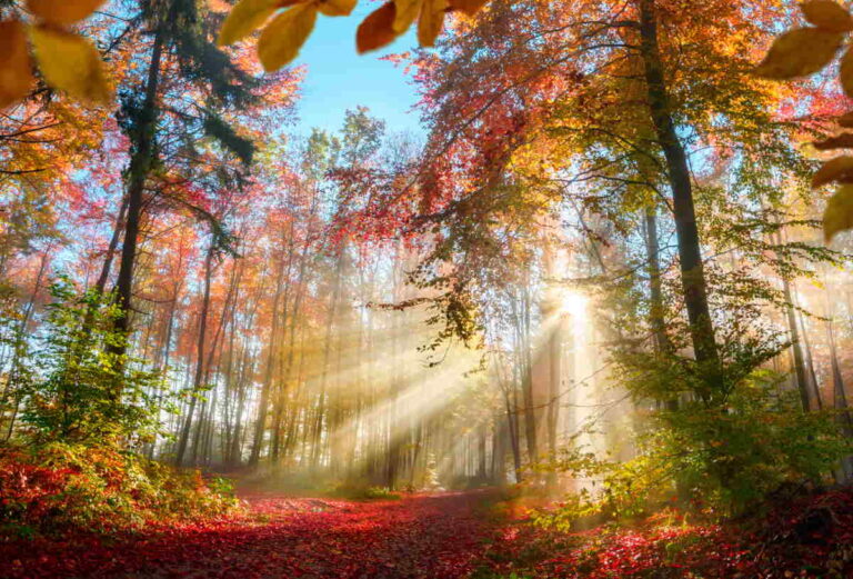 autunno caldo