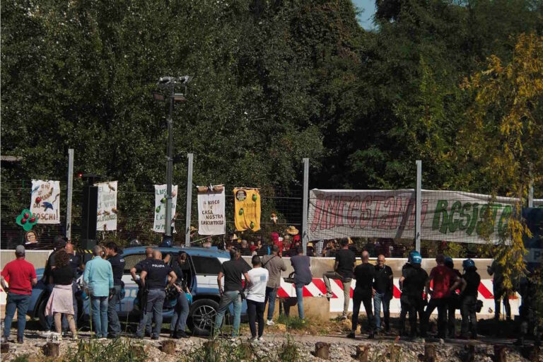 boschi pfas tav