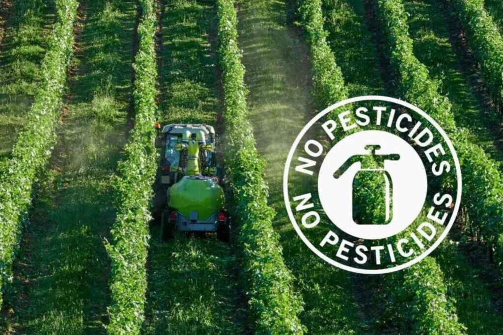 no pesticidi