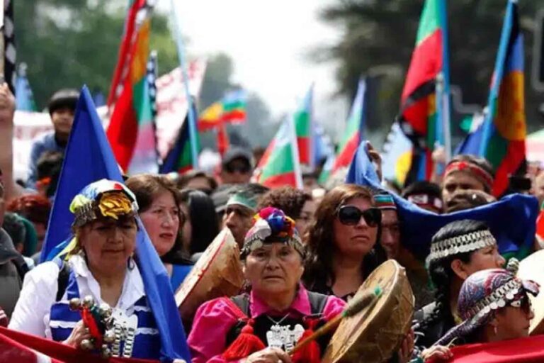 Global Forest Coalition