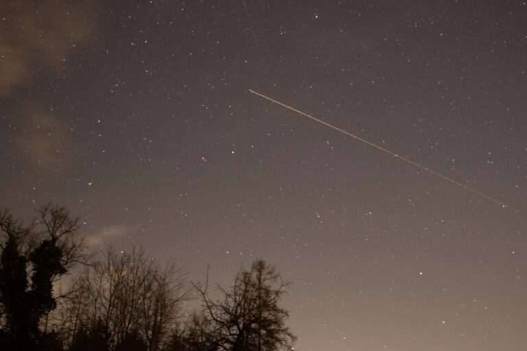stelle cadenti