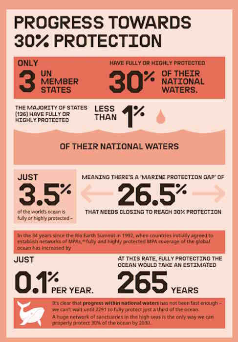 Greenpeace-rapport