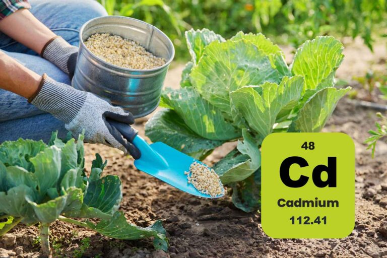 fertilizzanti cadmio