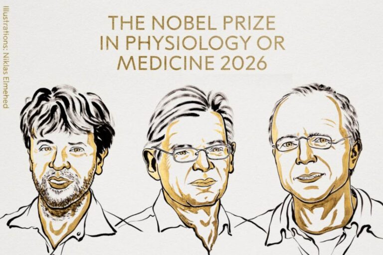 De Nobelprijs voor de Geneeskunde 2026 wordt toegekend aan Deisseroth, Hegemann en Nagel voor hun onderzoek naar optogenetica: "een nieuw tijdperk voor de neurowetenschappen"
