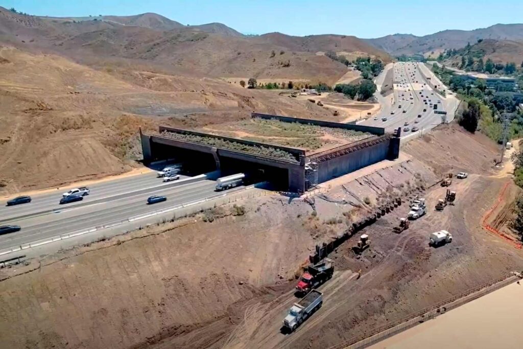 Wallis Annenberg Wildlife Crossing