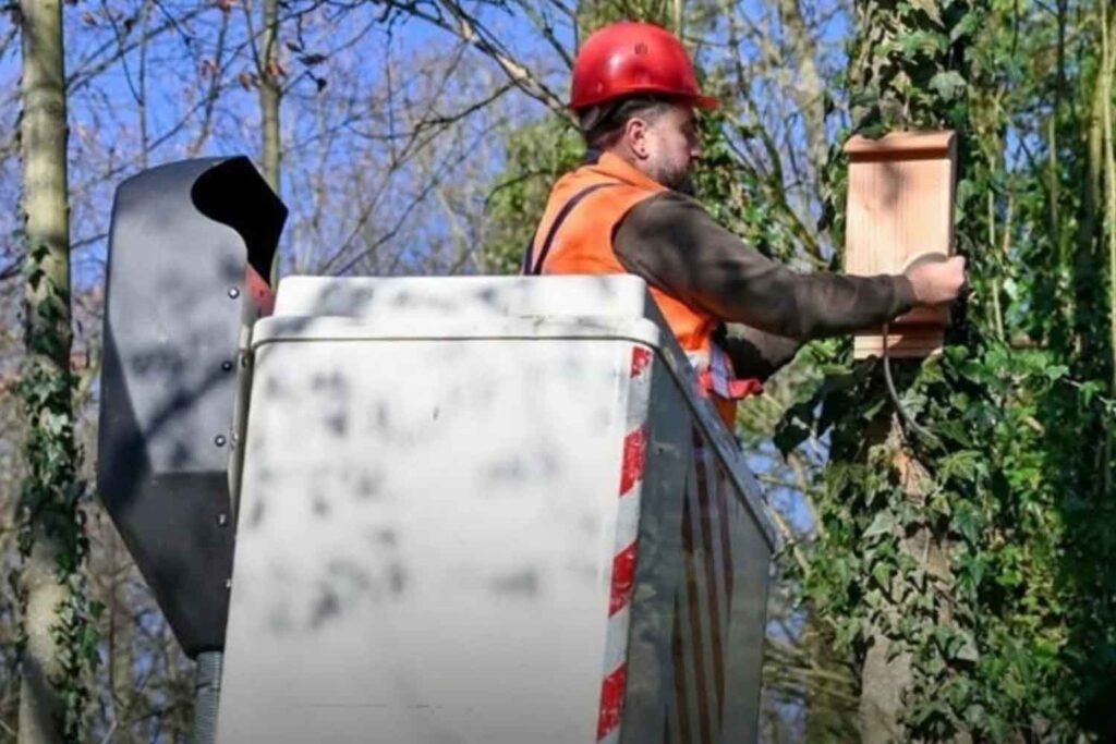 BatBox contro le zanzare
