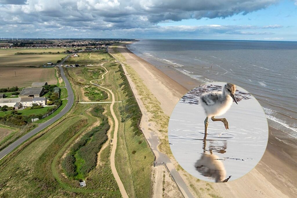 Sandilands Nature Reserve